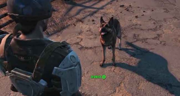 how to reset dogmeat fallout 4 reunions quest
