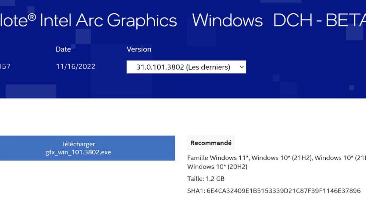 Intel® Arc™ Graphics - Driver Release for Call of Duty®: Warzone™ 2.0*,  Dysterra* and Sonic Frontiers*