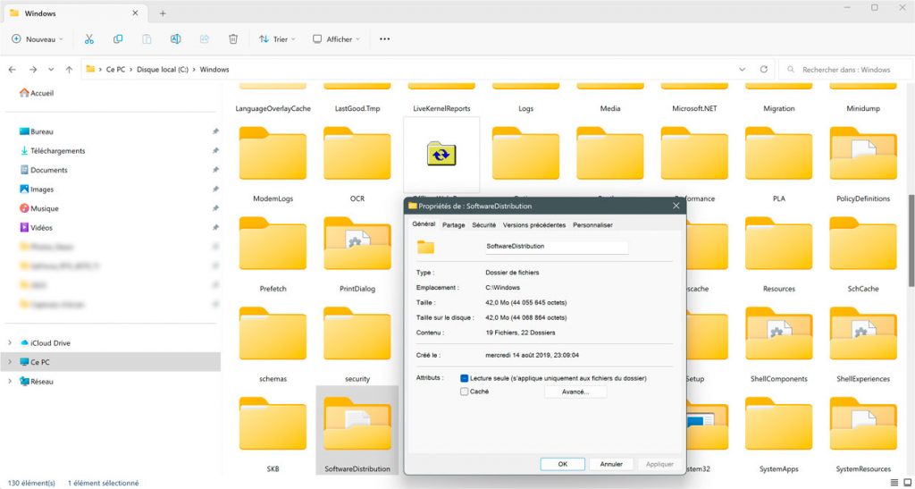 Windows 11 et le dossier SoftwareDistribution