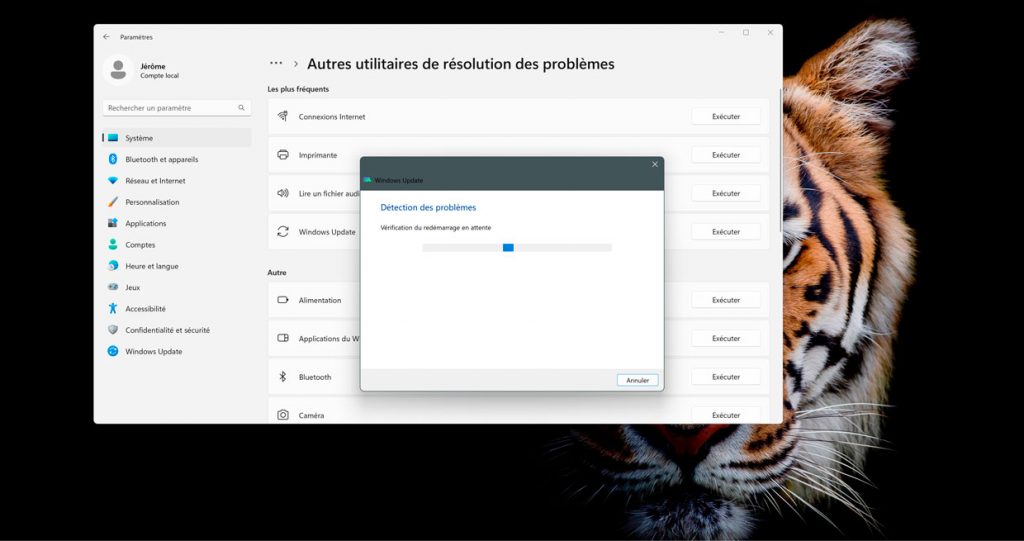 Windows 11 et l'utilitaire de résolution des problèmes.