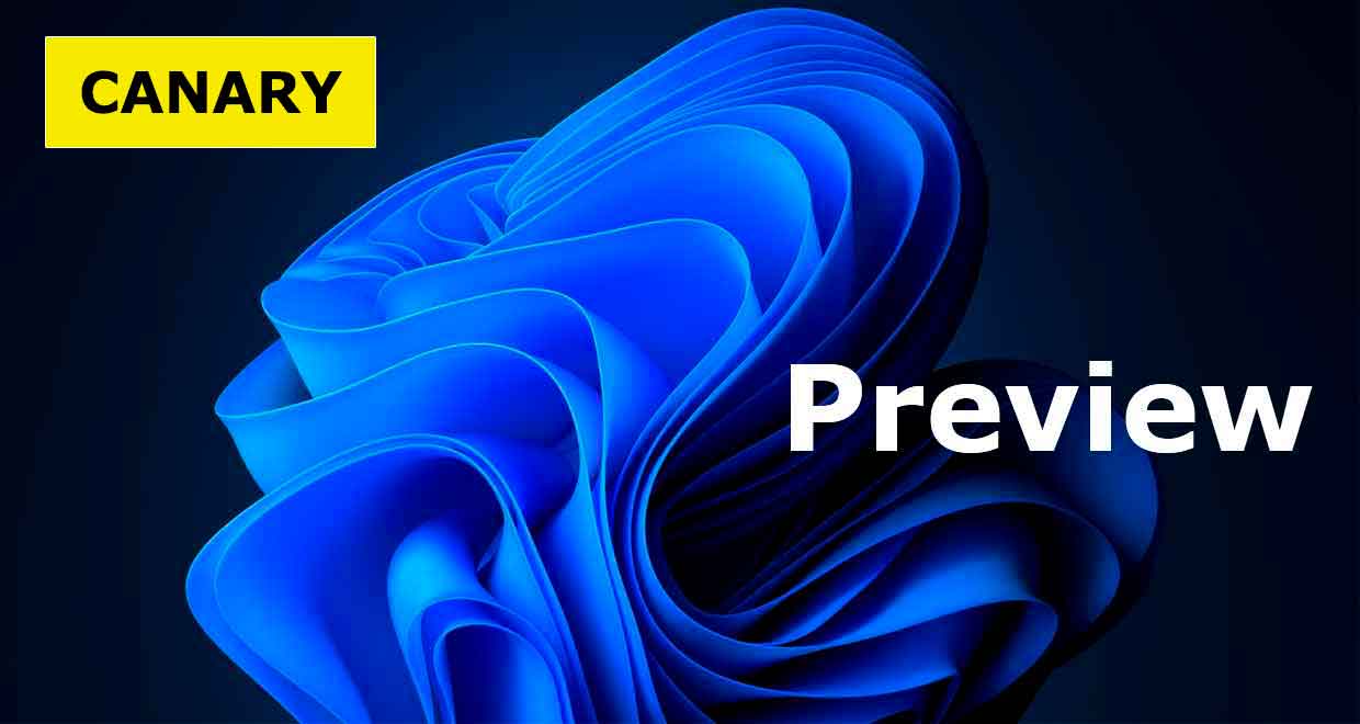 Windows 11 Preview - Canal Canary du programme Windows Insider