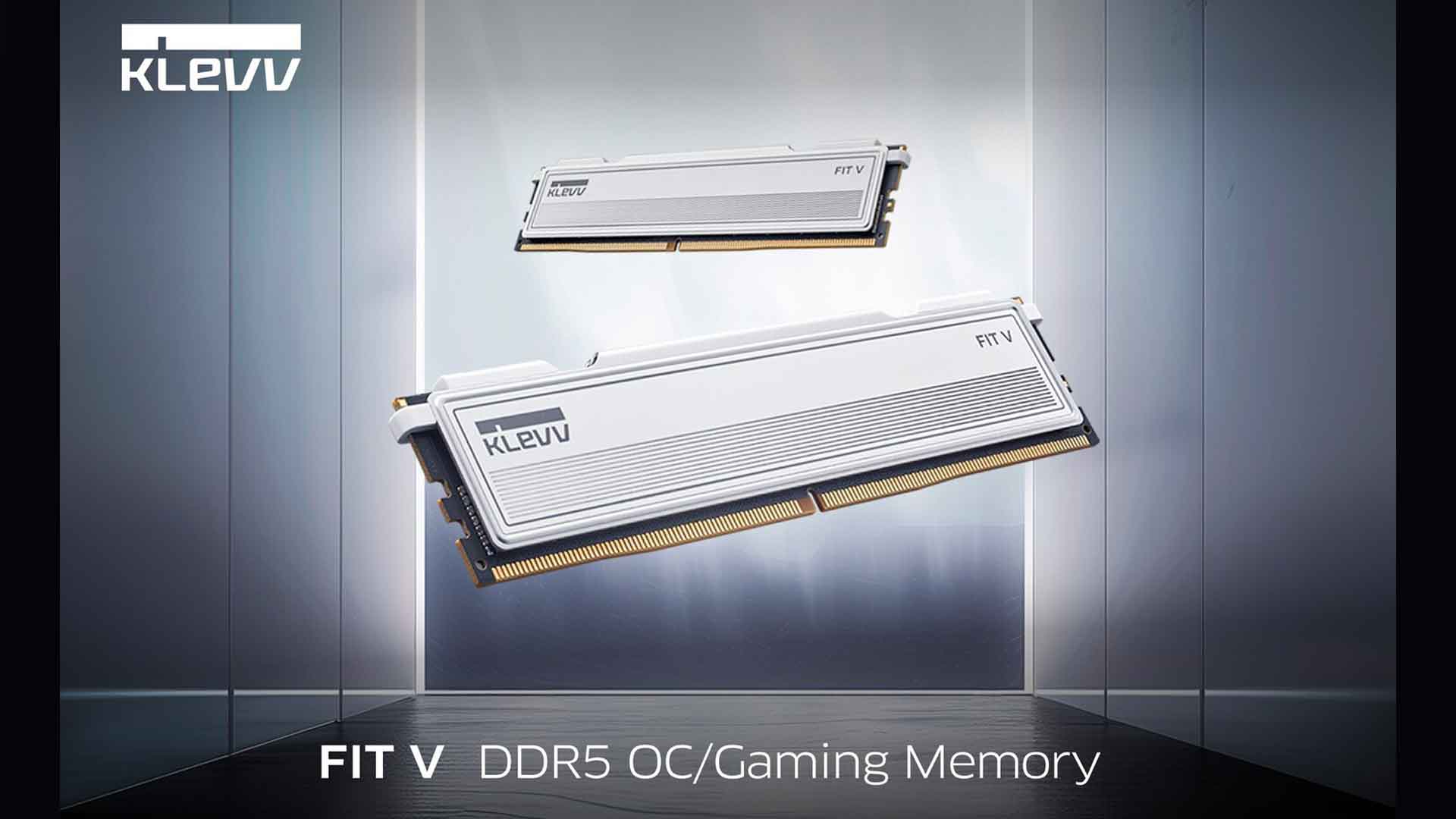 Mémoire DDR5 FIT V