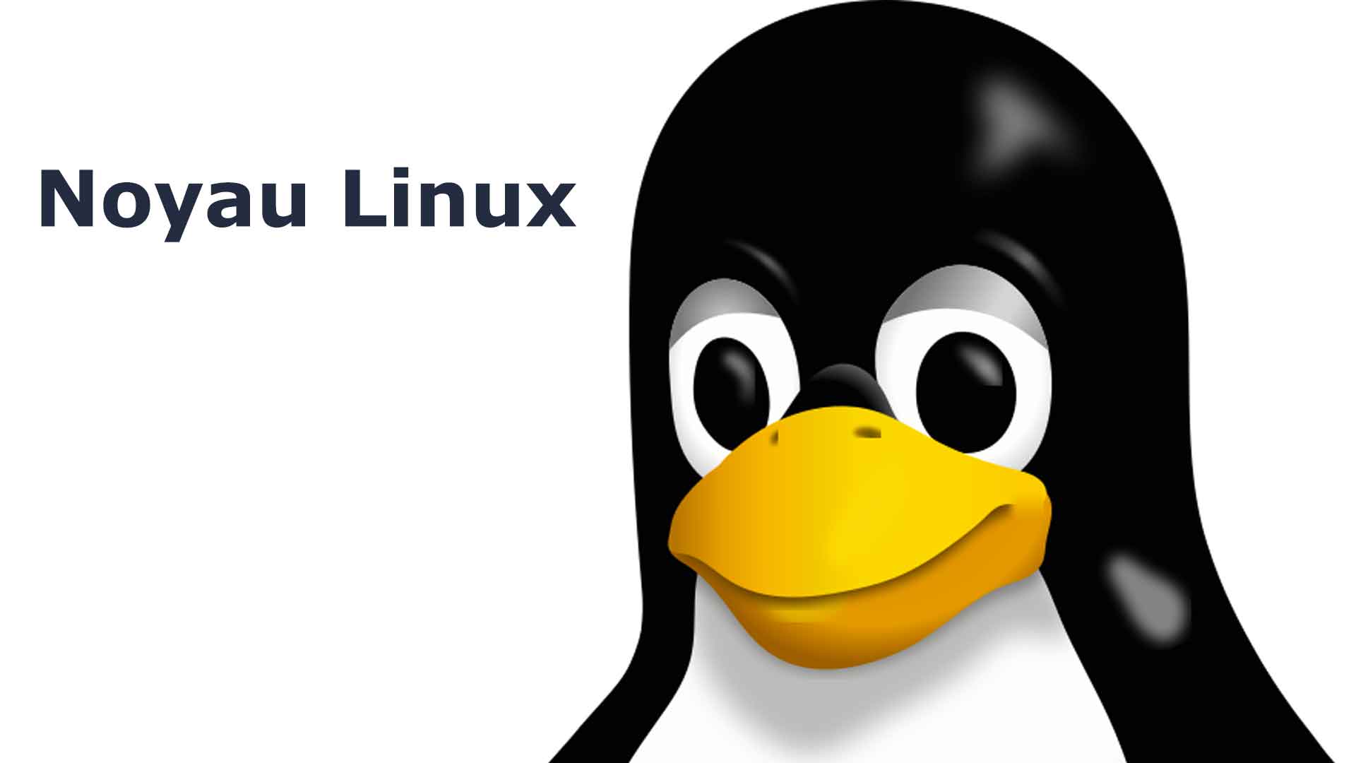 Noyau Linux (Kernel)